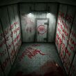 Diaries Of The Insane