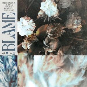 Blame - This Garden Hides a Snake Beneath the Rose