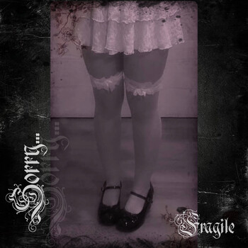 Sorry... - Fragile