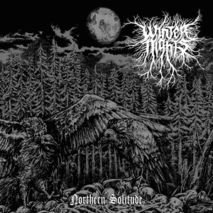 Winter Nights - Northern Solitude