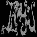 Image band