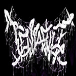 Image band