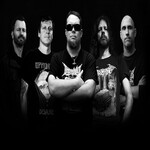 Image band