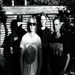 Image band