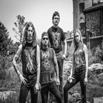Image band