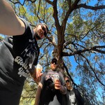 Image band