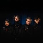 Image band
