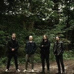 Image band