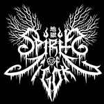Image band