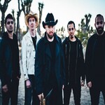 Image band