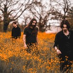 Image band