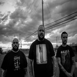 Image band
