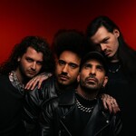 Image band